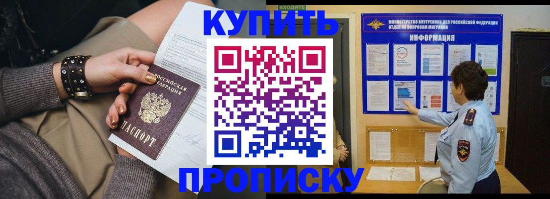 прописка в Шебекино